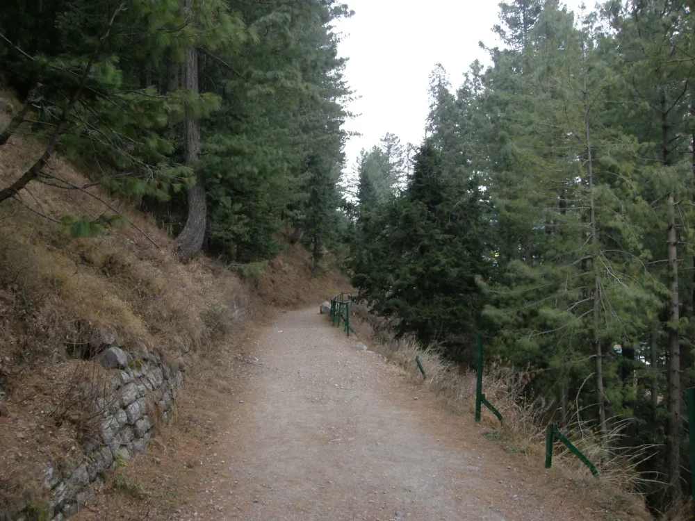 Nathia Gali Things To Do
